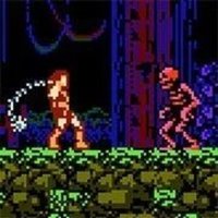 Castle Quest NES Retro Adventure